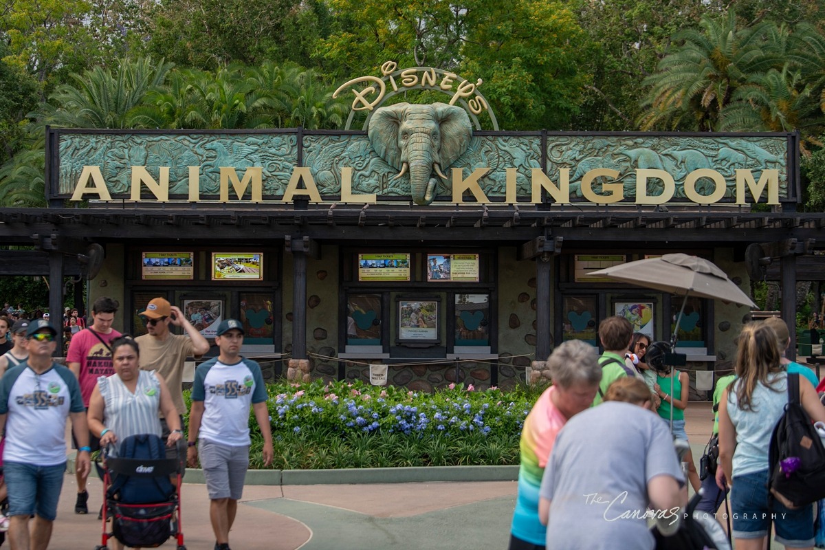 Animal Kingdom family portrait photographer